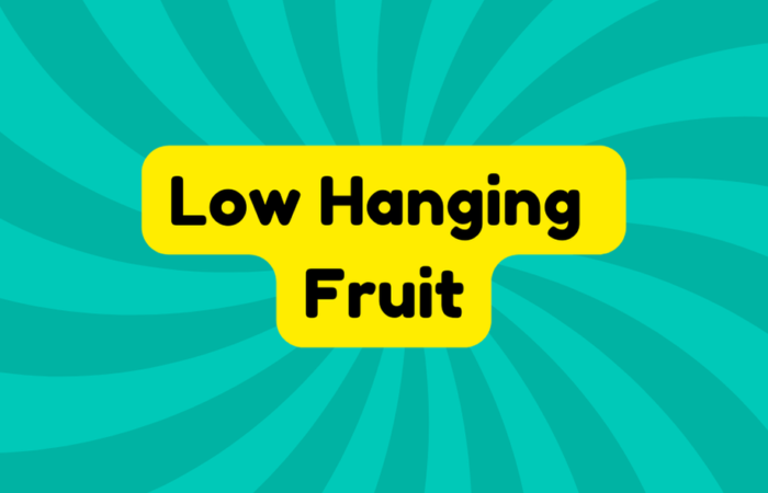 Low Hanging Fruit