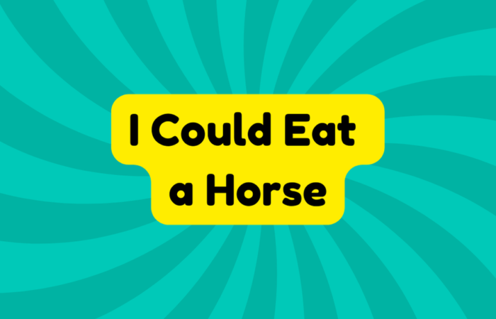 I Could Eat a Horse