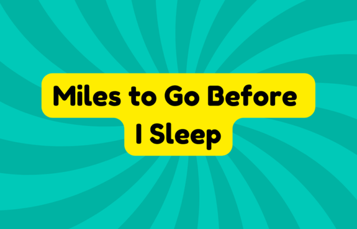 Miles to Go Before I Sleep