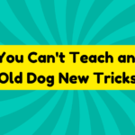 You Can't Teach an Old Dog New Tricks 3 You Can't Teach an Old Dog New Tricks