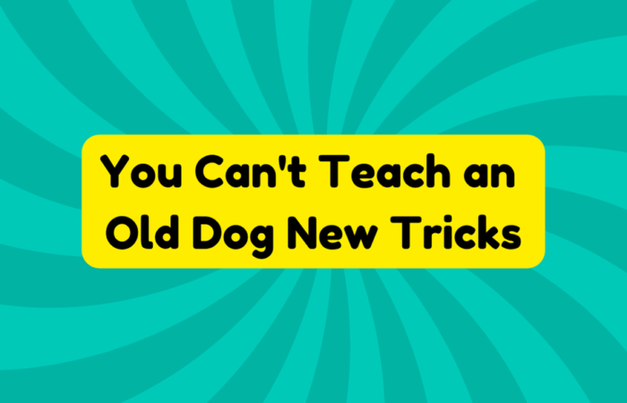 You Can't Teach an Old Dog New Tricks