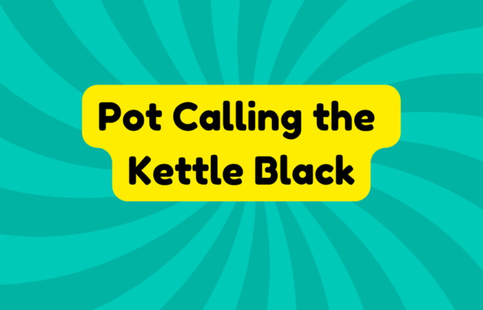 Pot Calling the Kettle Black
