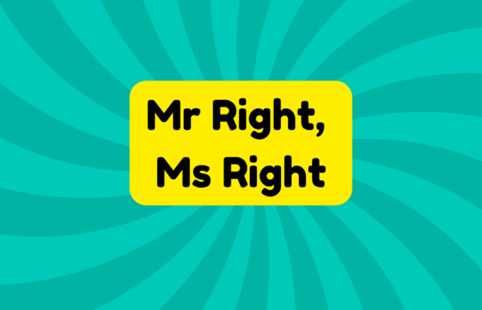 Mr Right, Ms Right