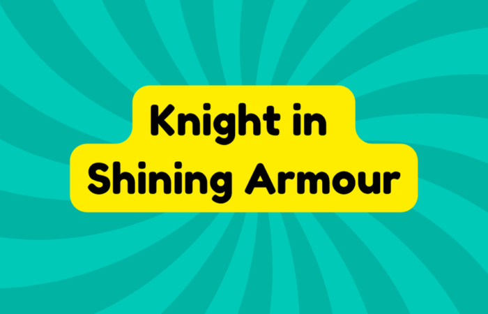 Knight in Shining Armour
