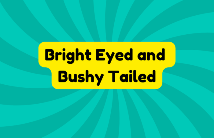 Bright Eyed and Bushy Tailed