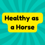 Healthy as a Horse 4 Healthy as a Horse