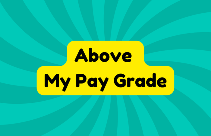 Above My Pay Grade