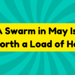 A Swarm in May Is Worth a Load of Hay 2 A Swarm in May Is Worth a Load of Hay