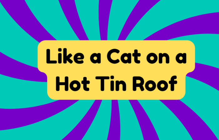 Like a Cat on a Hot Tin Roof