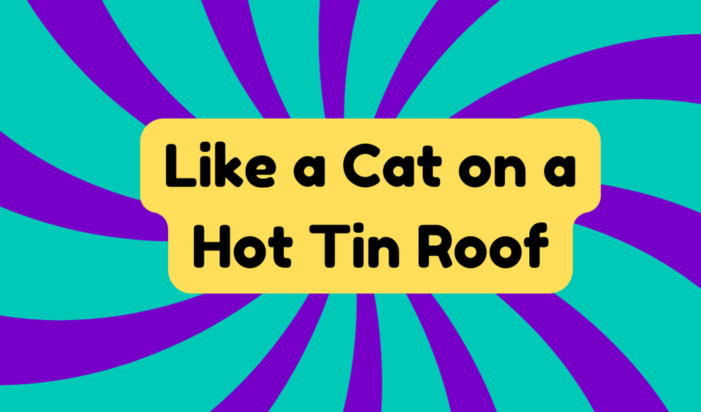 Like a Cat on a Hot Tin Roof