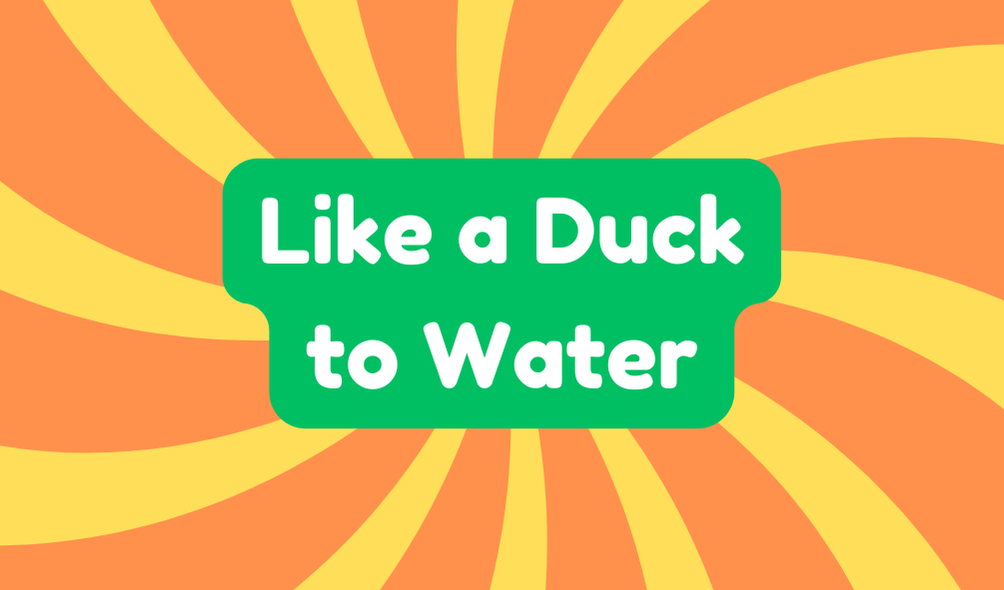 Like a Duck to Water