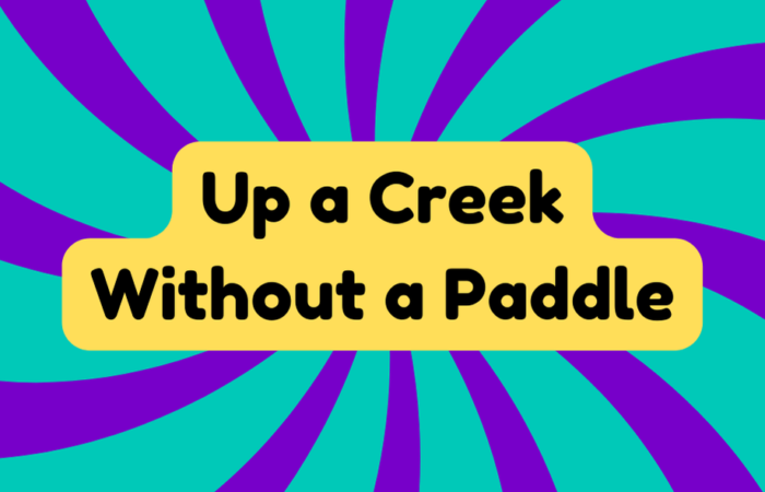 Up a Creek Without a Paddle