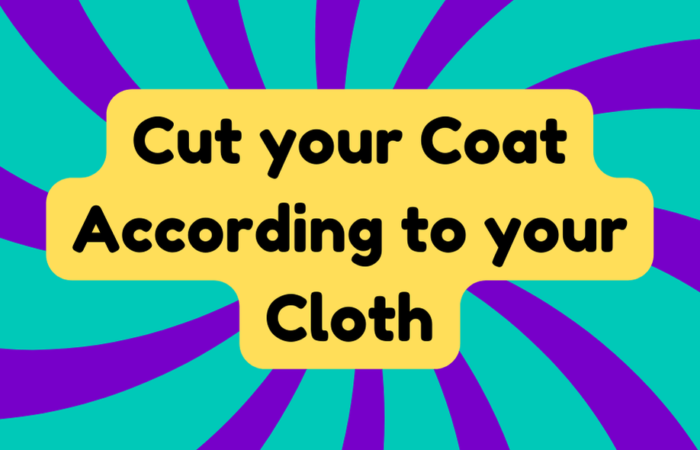 Cut Your Coat According to Your Cloth