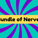 Bundle of Nerves