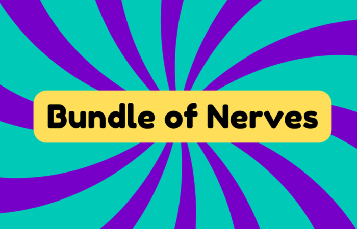 Bundle of Nerves