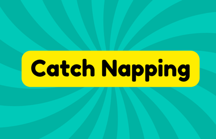 Catch Napping