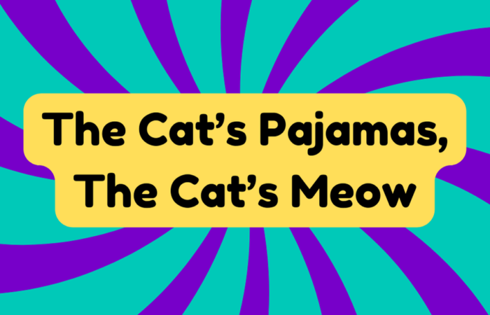 The Cat’s Pajamas, The Cat’s Meow