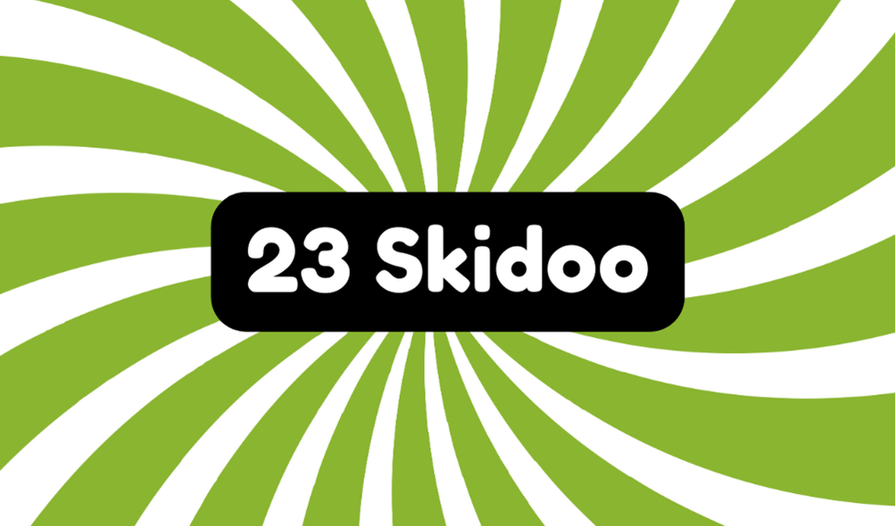 23 Skidoo