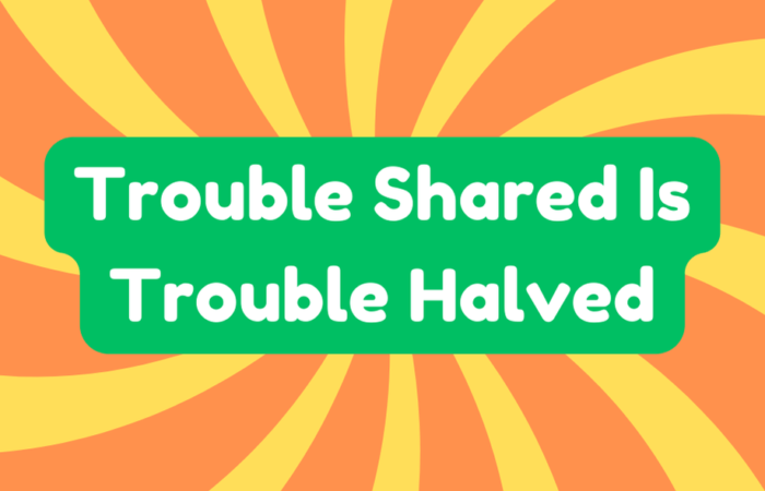 Trouble Shared Is Trouble Halved