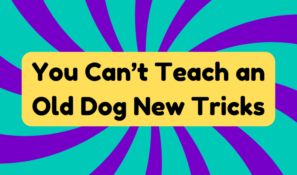 You Can’t Teach An Old Dog New Tricks