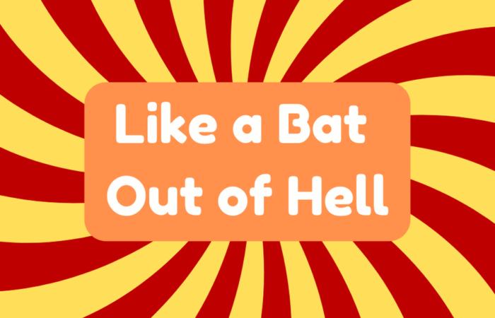 Like a Bat Out of Hell