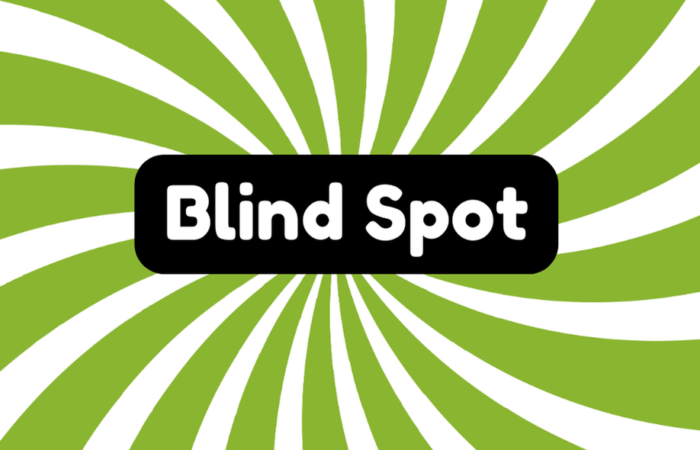 Blind Spot