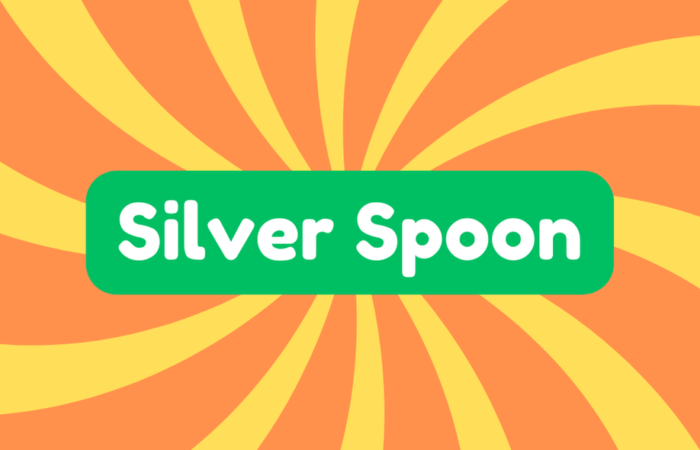 Silver Spoon