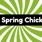 No Spring Chicken