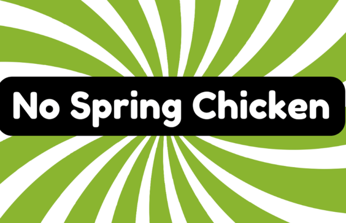 No Spring Chicken