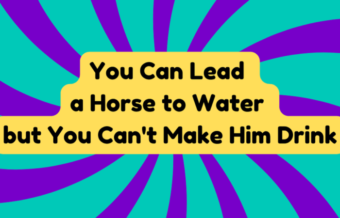 You Can Lead a Horse to Water but You Can't Make Him Drink