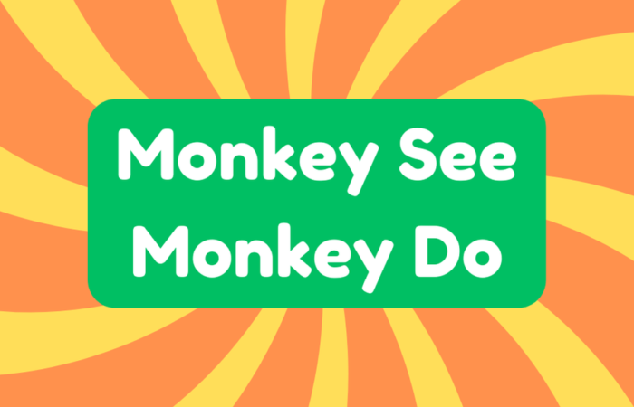 Monkey See Monkey Do