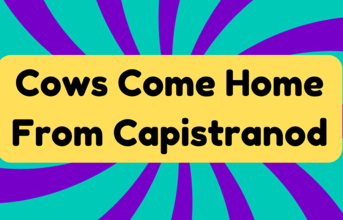 Cows Come Home From Capistrano