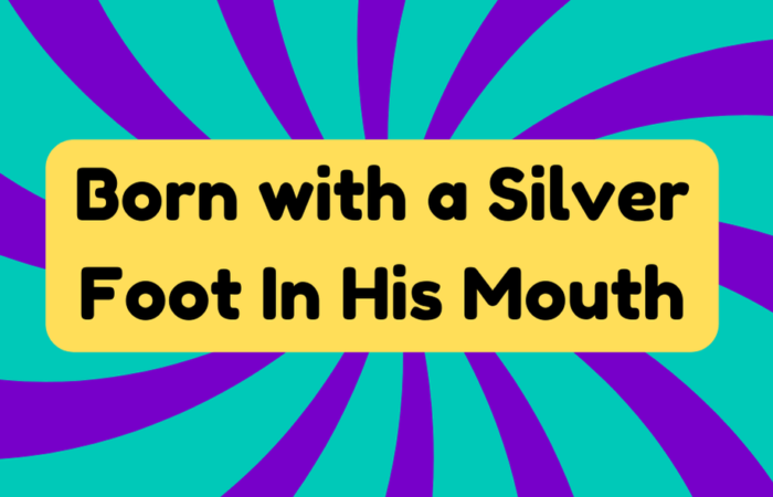 Silver Foot In His Mouth