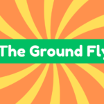 Hit The Ground Flying