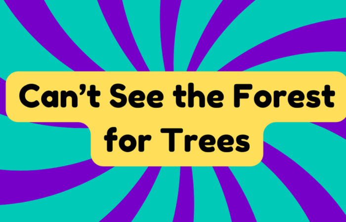 Can't See the Forest for the Trees