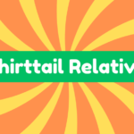 Shirttail Relative