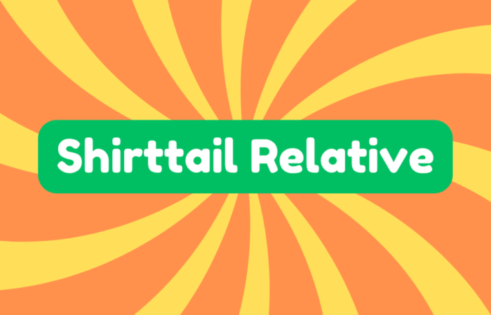 Shirttail Relative