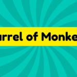 Barrel of Monkeys