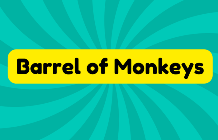 Barrel of Monkeys