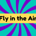 Fly in the Air