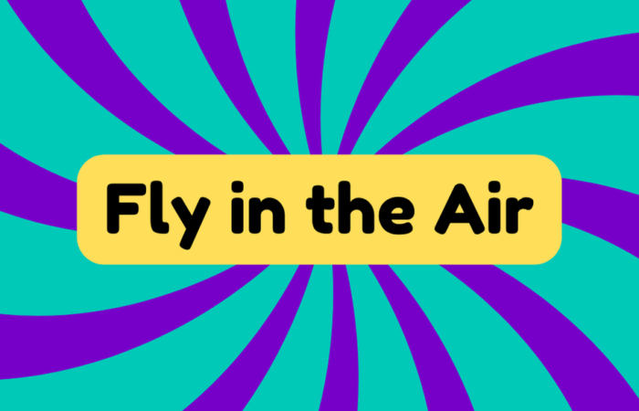 Fly in the Air