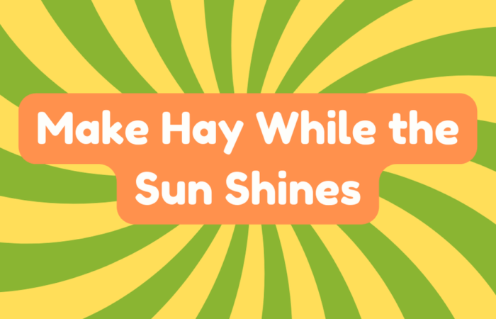 Make Hay While the Sun Shines
