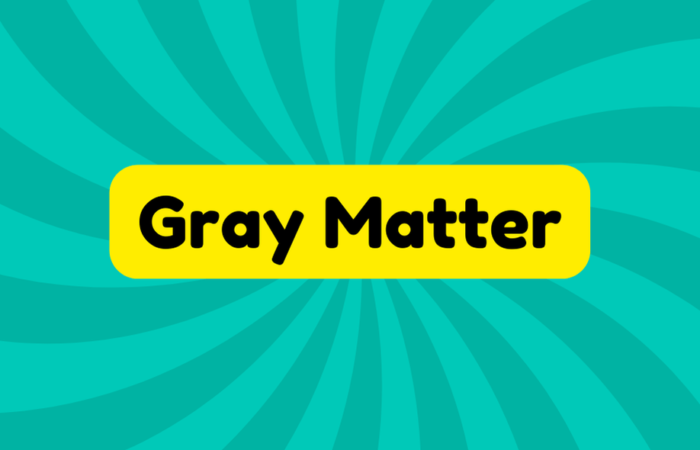 Gray Matter