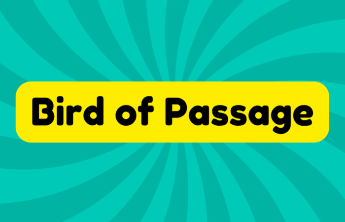 Bird of Passage