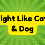 Fight Like Cat and Dog