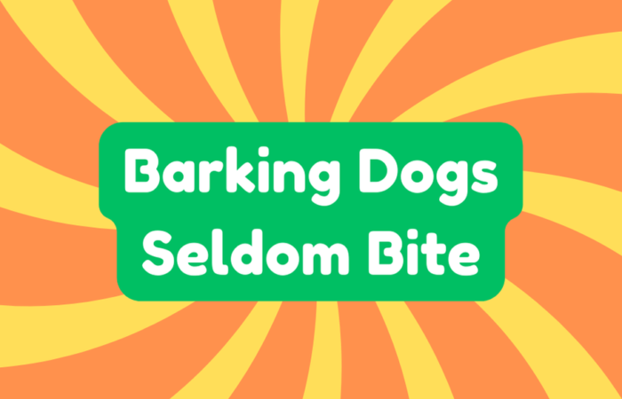 Barking Dogs Seldom Bite