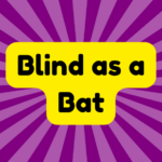 Blind as a Bat