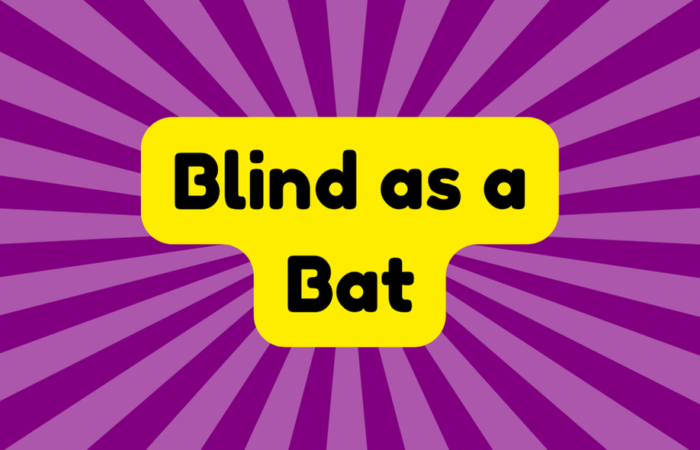 Blind as a Bat