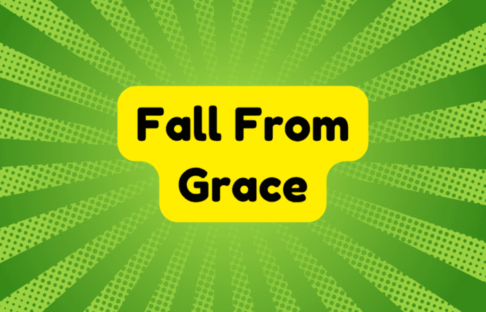 Fall From Grace