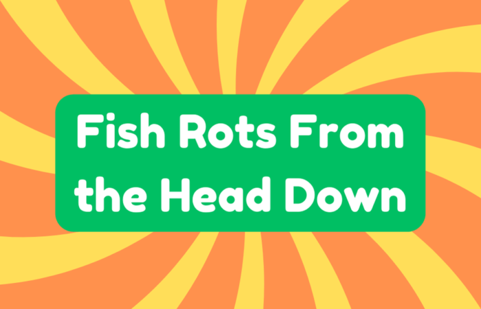 Fish Rots From the Head Down